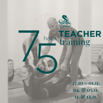 75HR Jivamukti Teacher Training mit Petros Haffenrichter im Herbst 2023